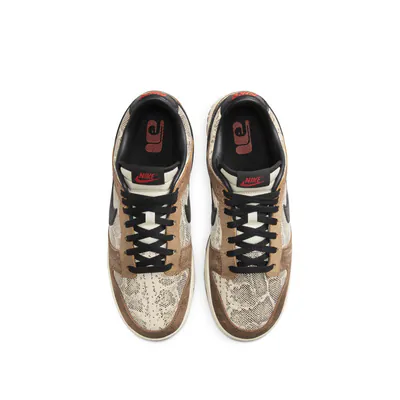 FJ5434-120-Nike Dunk Low CO.JP 2023-4.jpg