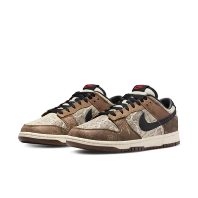 FJ5434-120-Nike Dunk Low CO.JP 2023-5.jpg