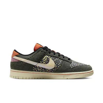 FN7523-300-Nike Dunk Low Rainbow Trout4.jpg