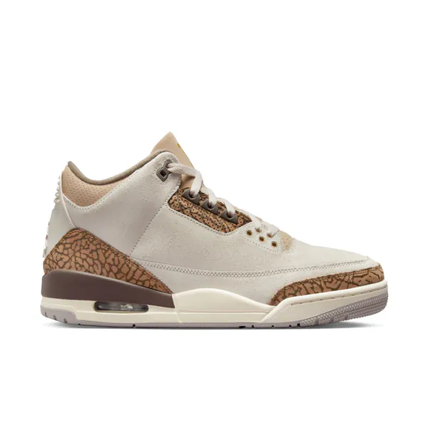 CT8532-102-Nike Air Jordan 3 Palomino.jpg