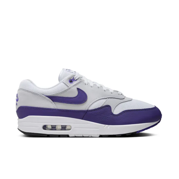 Nike Air Max 1 SC Field Purple DZ4549-101.jpg