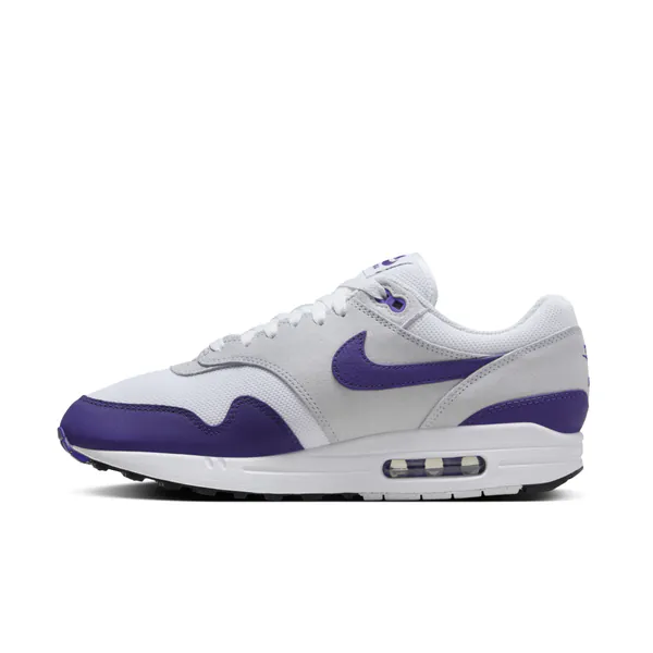 Nike Air Max 1 SC Field Purple DZ4549-101 d.jpg