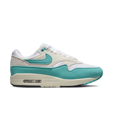 Nike Air Max 1 Dusty Cactus-DZ2628-1076.jpg