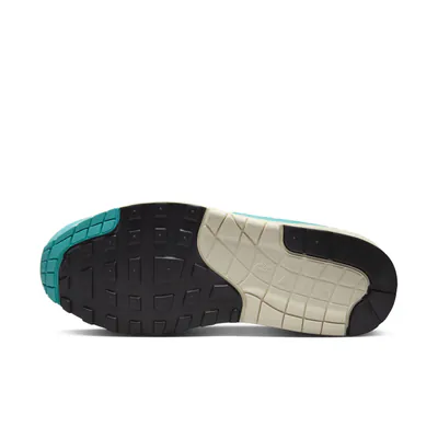 Nike Air Max 1 Dusty Cactus-DZ2628-1075.jpg