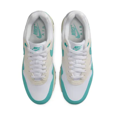 Nike Air Max 1 Dusty Cactus-DZ2628-1073.jpg