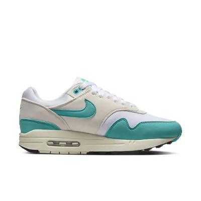 Nike Air Max 1 Dusty Cactus-DZ2628-1074.jpg
