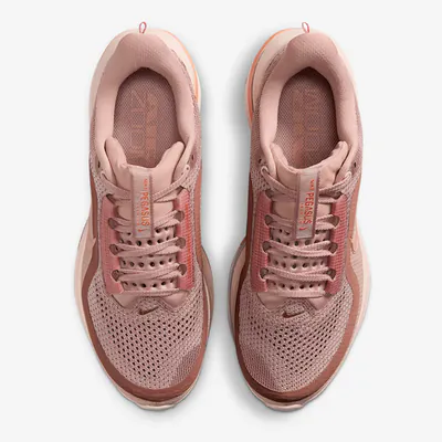 nike-pegasus-premium-metallic-rose-gold-hq2593-603-5.png