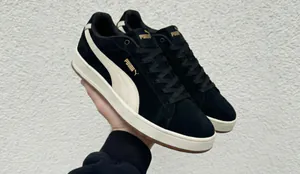 puma6549463.jpg