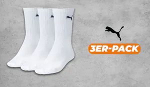 pumasocken-cov.jpg